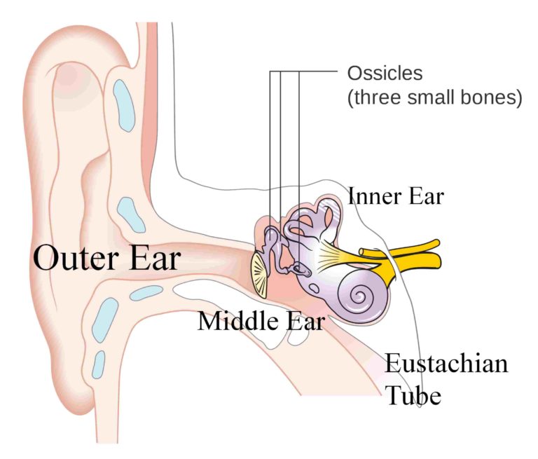 Glue Ear Treatment Without Surgery – bestwaytostopsnoring.com